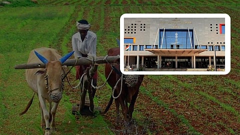 High Court of Bombay at Goa