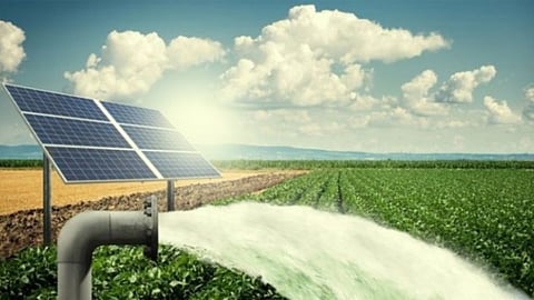 Solar Water Pump for Goa Farmer