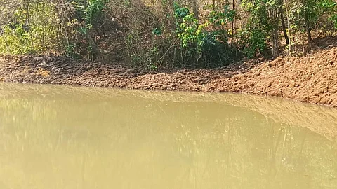 bicholim kudchire lake