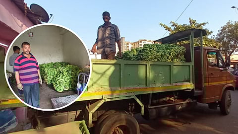 Mapusa FDA Action