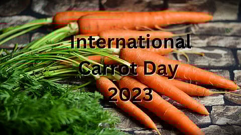International Carrot Day 2023