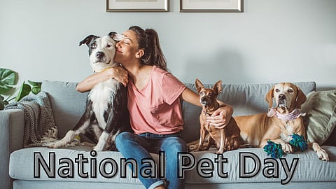National Pet Day 2023