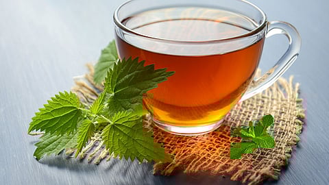 Spearmint Tea Benefits