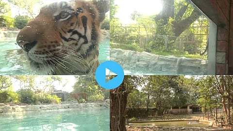 Mumbai's Byculla zoo