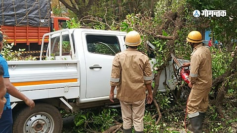 One person was injured when a mango tree fell on a running jeep