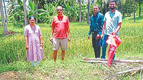 Agriculture News