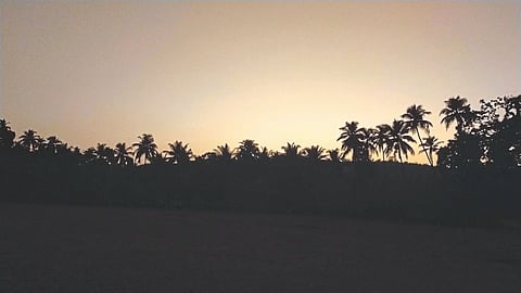 The Evening