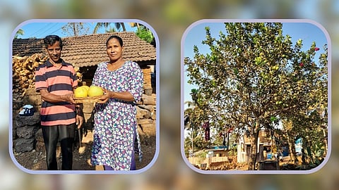Francisco Barboza and Celina Quadros