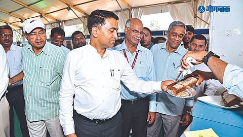 Goa Dairy