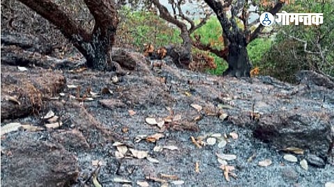 Pernem Fire News