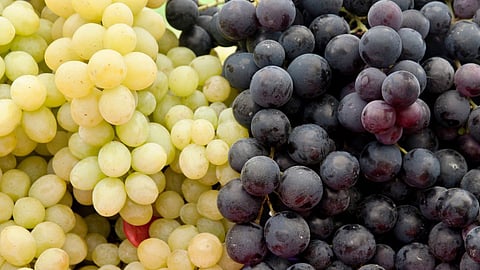 Black vs Green Grapes
