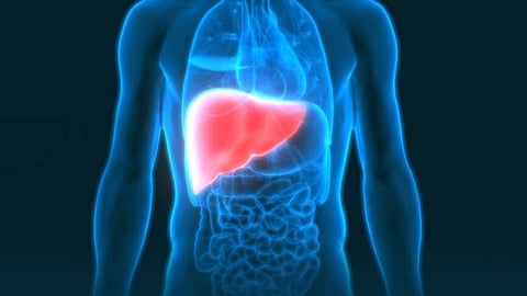 non alcoholic fatty liver