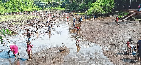 कोळंब तळे