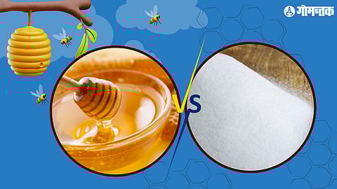 Honey vs Sugar: