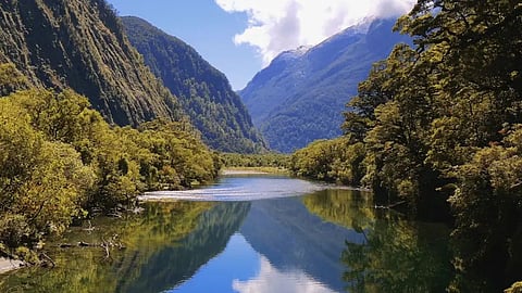 nature seen from the river
