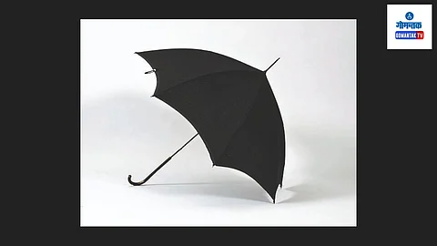 The Umbrella