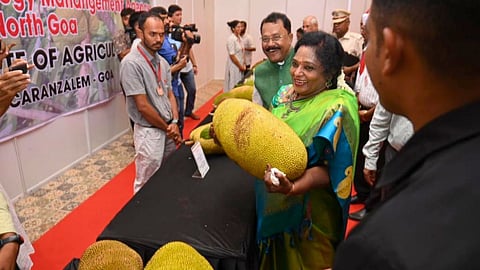 Jackfruit festival At Raj Bhavan Goa
