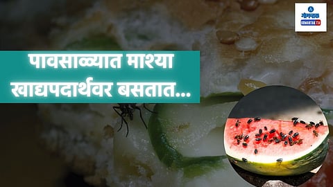 Monsoon Tips