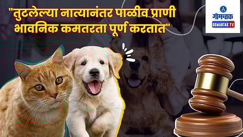 Maintenance For Wife's Pet Dogs
