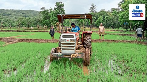 Goa Agriculture