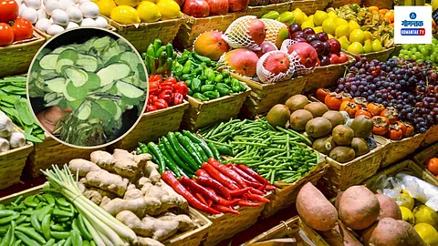 Panaji Market