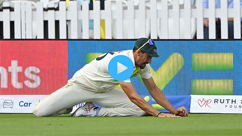 Mitchell Starc Catch