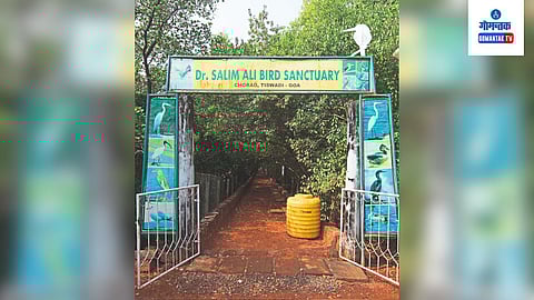 Salim Ali Bird Sanctuary Goa