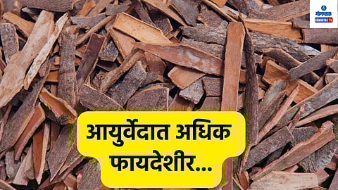 Arjun Bark Benefits