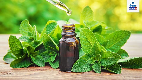 Peppermint Oil