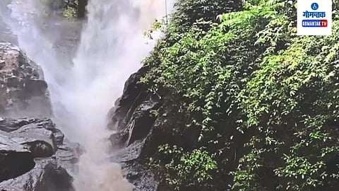Savari Waterfalls