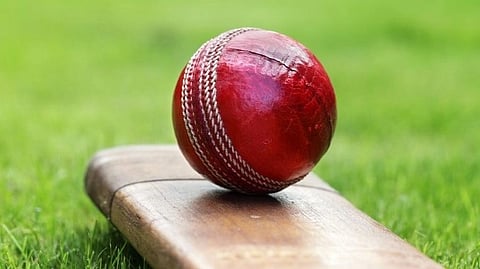 Cricket