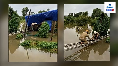 Margao fire brigade Rescue Dogs