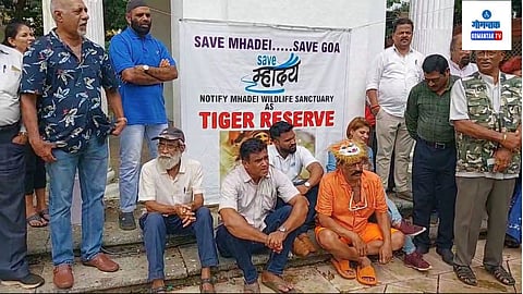 Save Goa Save Tiger