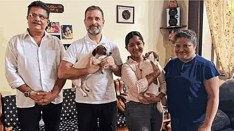 Rahul Gandhi Goa Visit