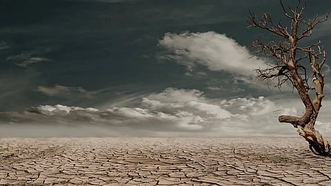 Sri Lanka Affected By Drought