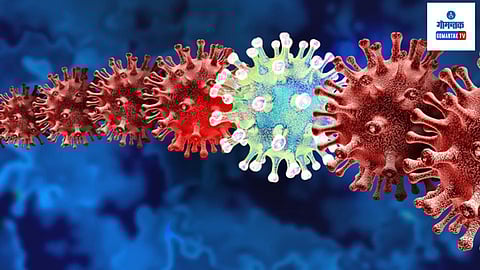 Omicron Subvariant Found In Maharashtra