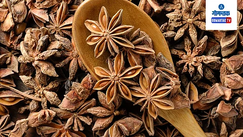 Star Anise Benefits