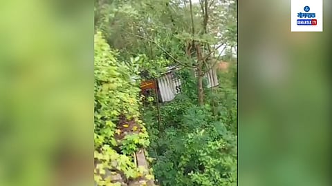 Container truck turns turtle at Bambolim