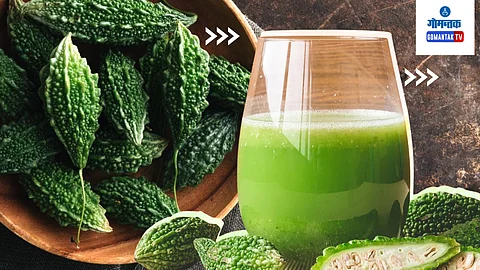 Bitter Guard Health Benefits