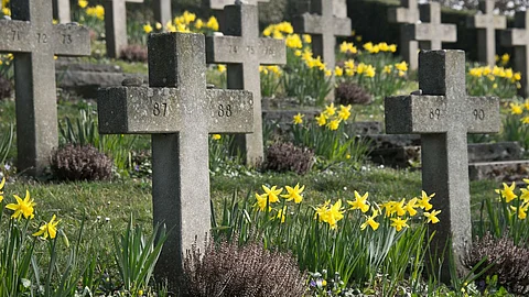 No Death Rule
