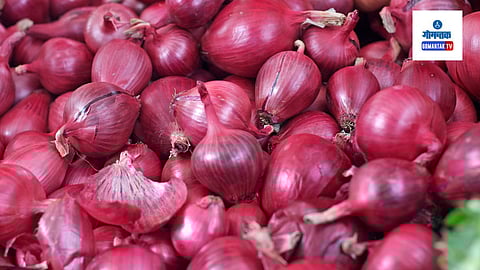 Onion