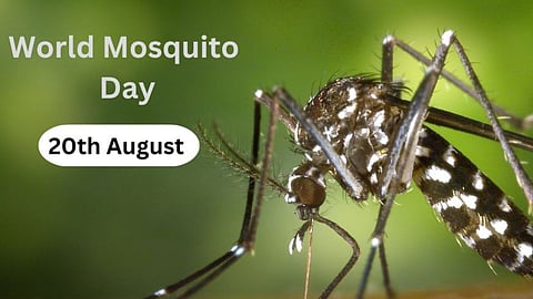 World Mosquito Day