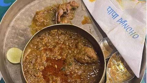Dead Rat Found In Chicken Curry In Mumbai Restaurant.
