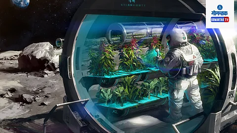 Agriculture In Space