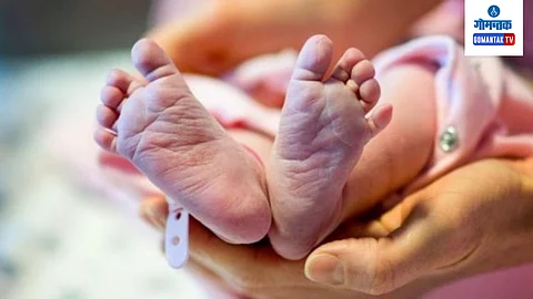 Girl Born