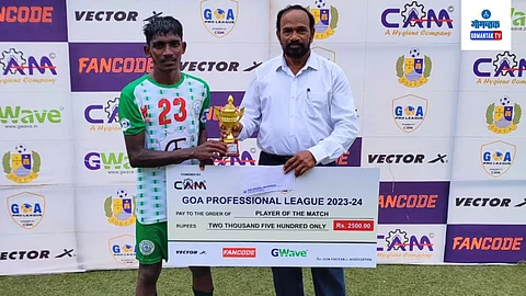 Professional League Football