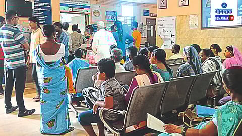 Dengue In Goa:
