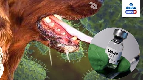 Mission Rabies Signs MoU with BMC