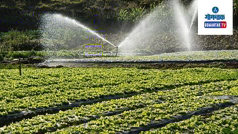 Goa Agriculture