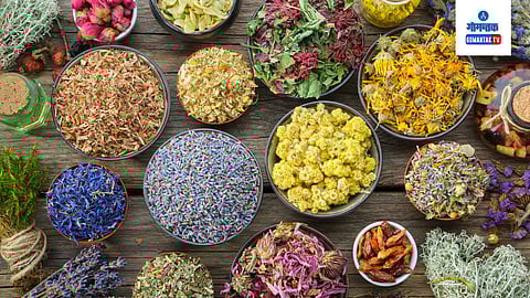 Ayurvedic Herbs For Glowing Skin